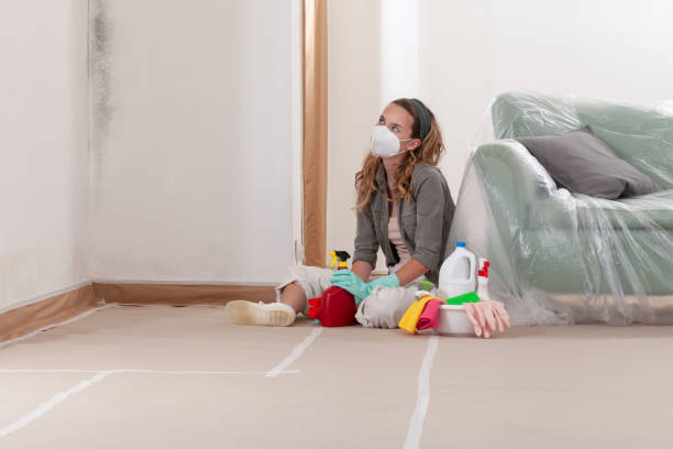 Reliable Attic Mold Removal contractor in Reva, VA by WQB Mold Removal